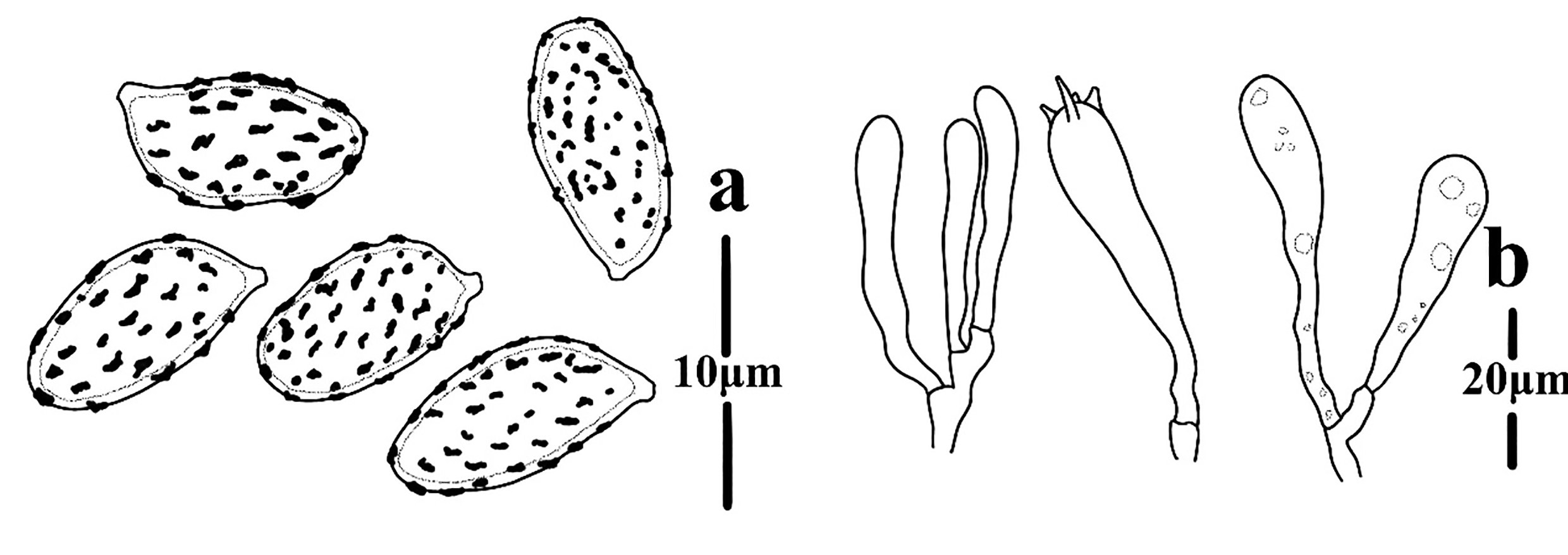 Figure 125